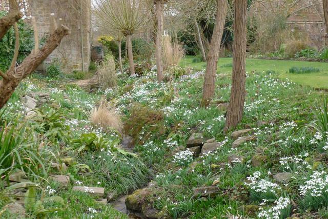 East Lambrook Manor