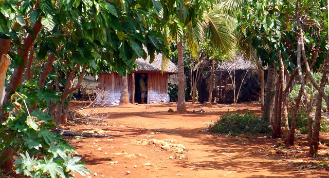 UBPC Organopónico Vivero Alamar